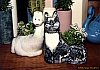 Dino and kitty planters from our original design collection.